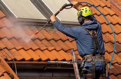 Démoussage et hydrofuge de toiture à Usseau